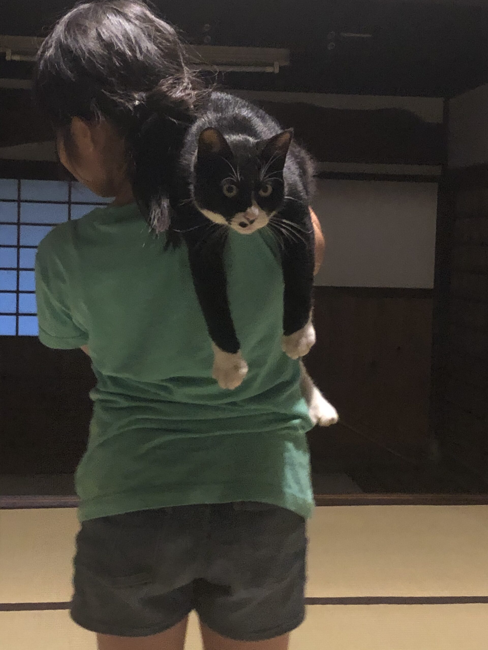 masazan